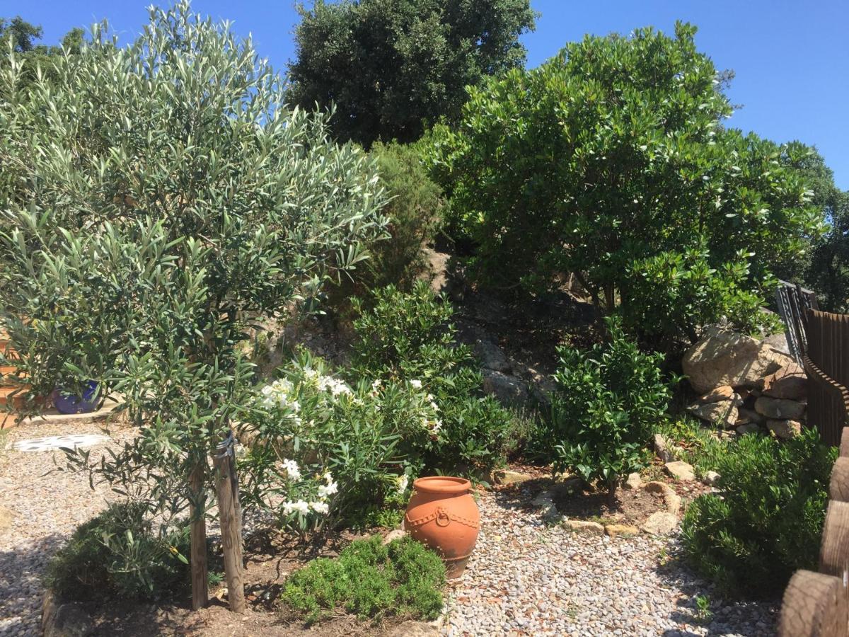 Villa Gardenia Mit Pool Und Traumhaftem Meerblick Santa Cristina d'Aro Eksteriør bilde